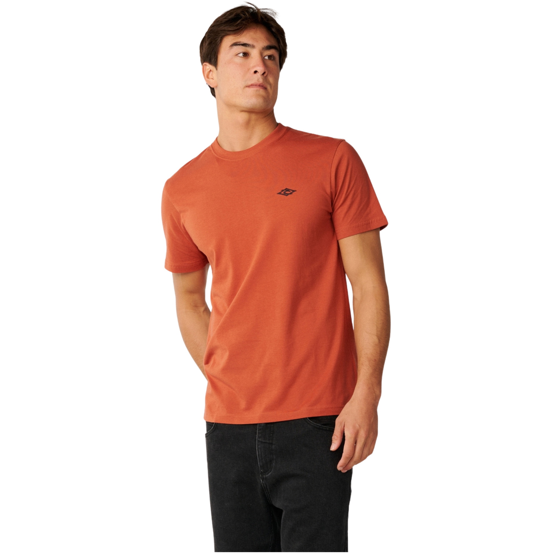 2026 Rip Curl Mens Streamline Embroid T-Shirt 10XMTE - Baked Clay